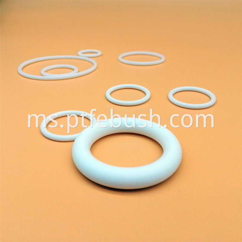 O Ring Gasket